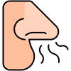 smell